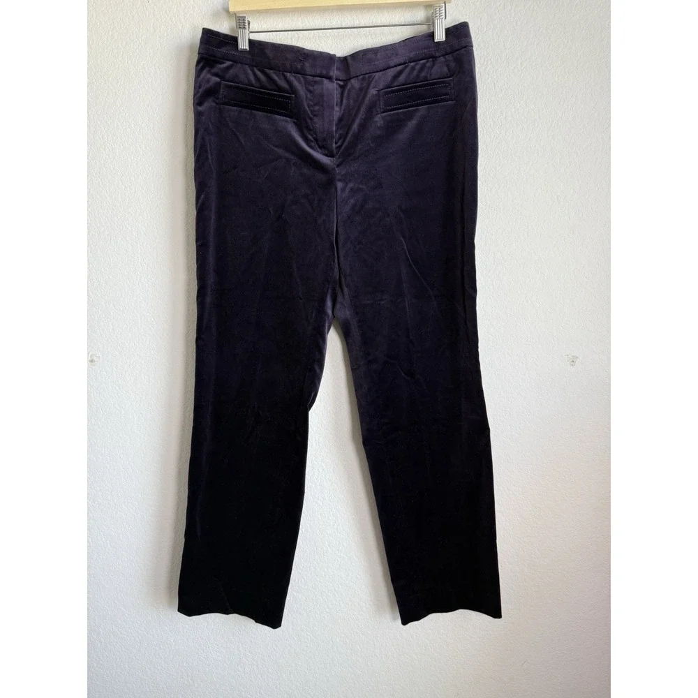 Carlisle‎ Women's Velour Purple Straight Leg Dress Pants Silk Lining Size 14